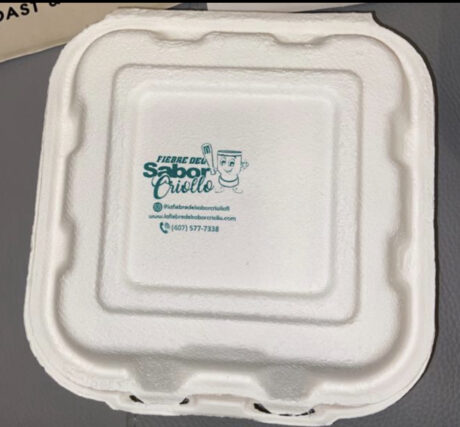 Sugar cane bagasse containers